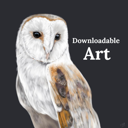 Barn Owl - Downloadable Art - sarahbrabbin