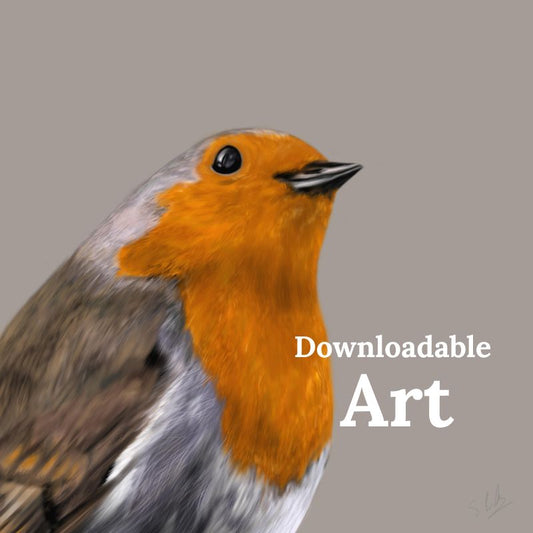 Robin - Downloadable Art - sarahbrabbin