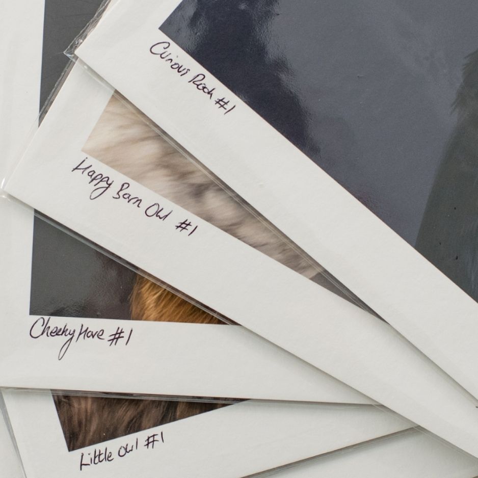 Detail of the art prints with their titles in the corner