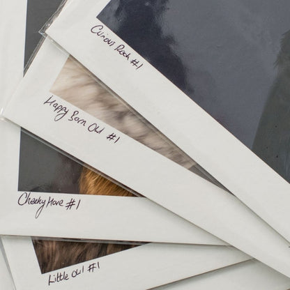 Detail of the art prints with their titles in the corner