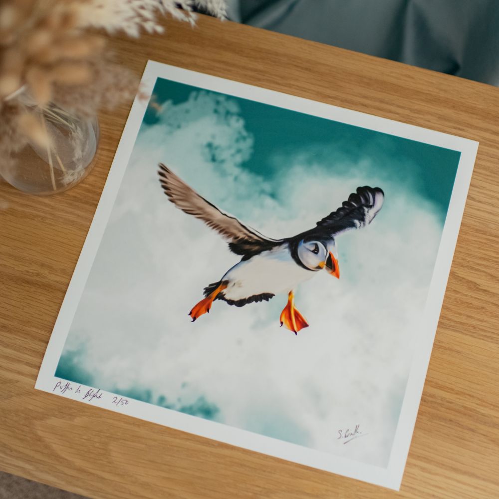Puffin Flight - Limited Edition Wildlife Art