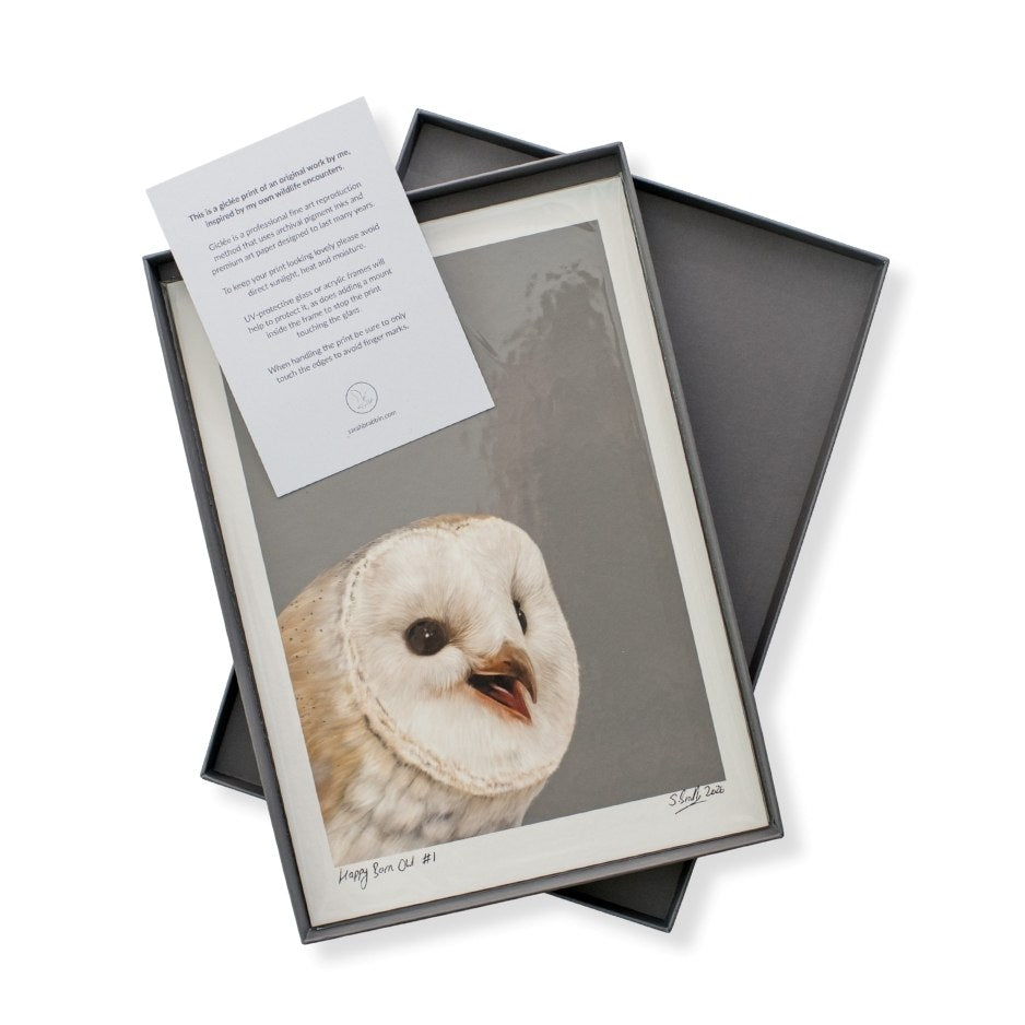 An A4 signed and numbered print of a Barn Owl in a luxury grey box with a care card