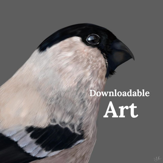 Mrs Bullfinch - Downloadable Art - sarahbrabbin