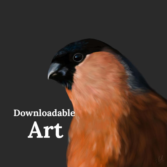 Mr Bullfinch - Downloadable Art - sarahbrabbin