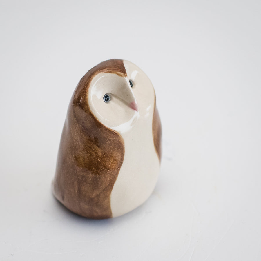 Curious Owl - Barn Owl - sarahbrabbin