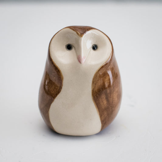 Curious Owl - Barn Owl - sarahbrabbin