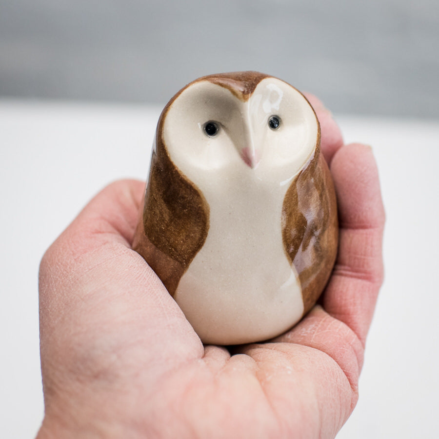 Curious Owl - Barn Owl - sarahbrabbin
