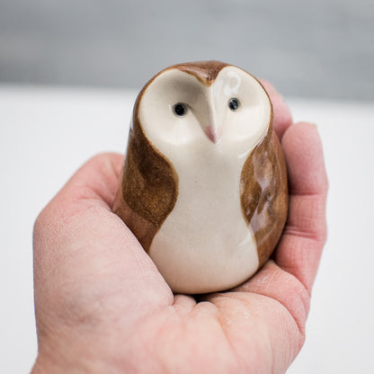 Curious Owl - Barn Owl - sarahbrabbin