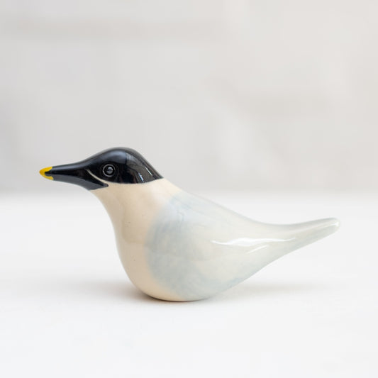 Ceramic Sandwich Tern