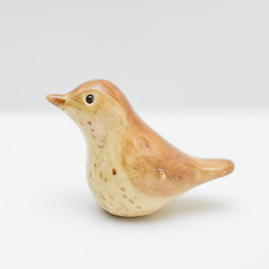 Small Ceramic Thrush Sculpture - sarahbrabbin