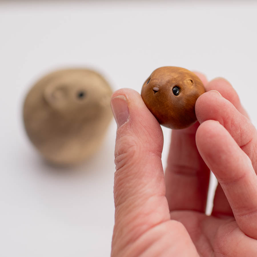 Ceramic Vole Gift Set