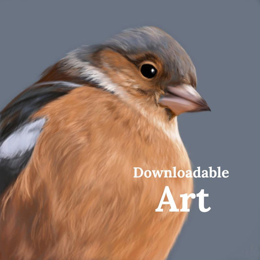 Chaffinch - Downloadable Art - sarahbrabbin