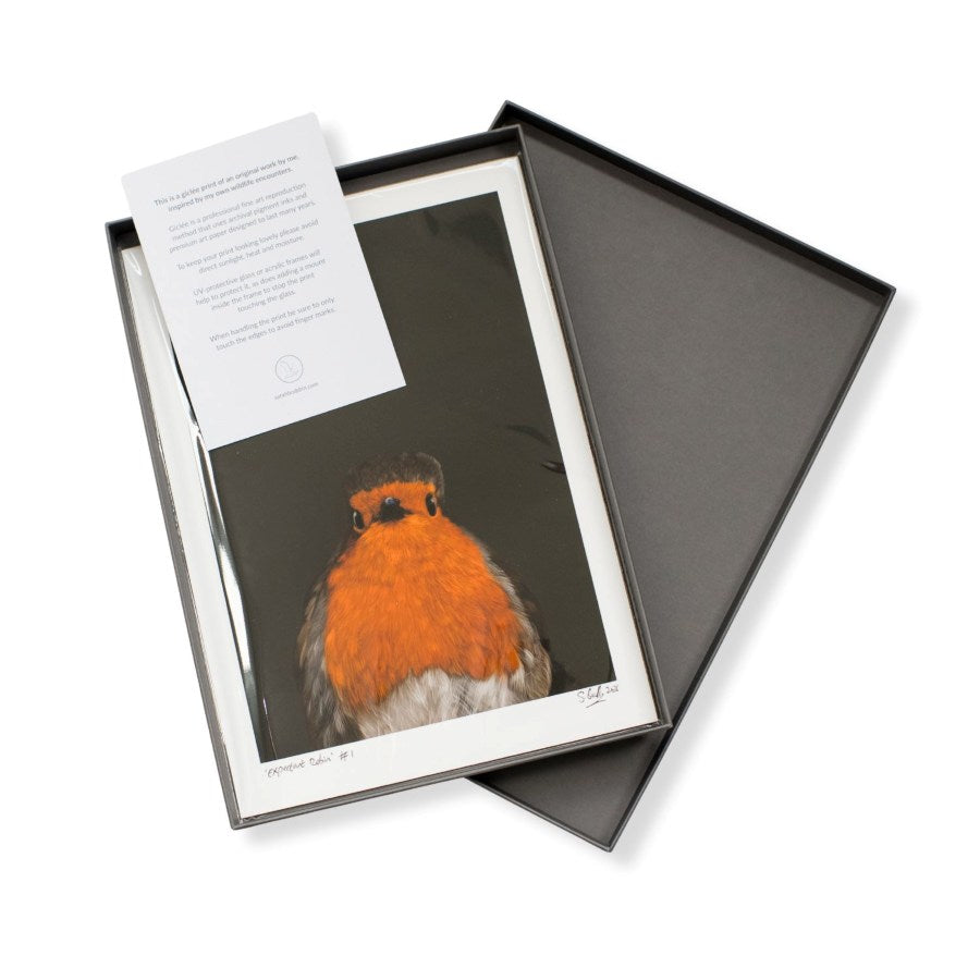 An A4 signed and numbered print of a Robin in a luxury grey box with a care card