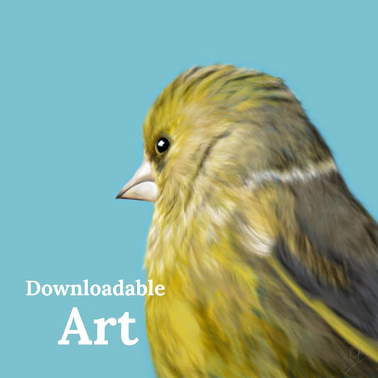 Greenfinch - Downloadable Art - sarahbrabbin
