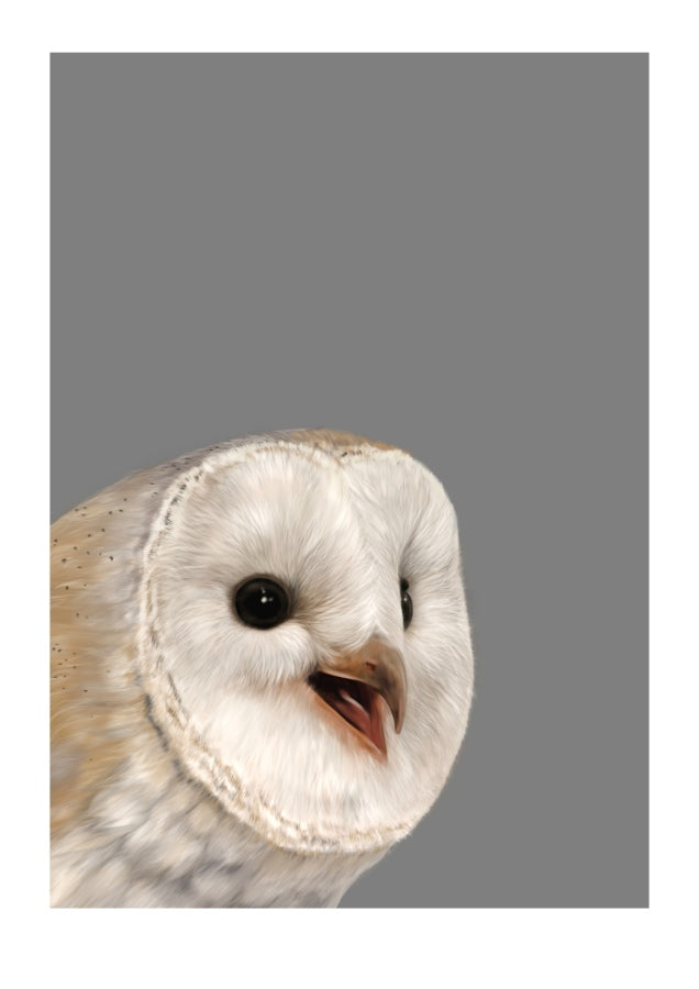 A close-up photograph of a barn owl with a white and beige patterned face and feathers, set against a solid gray background.