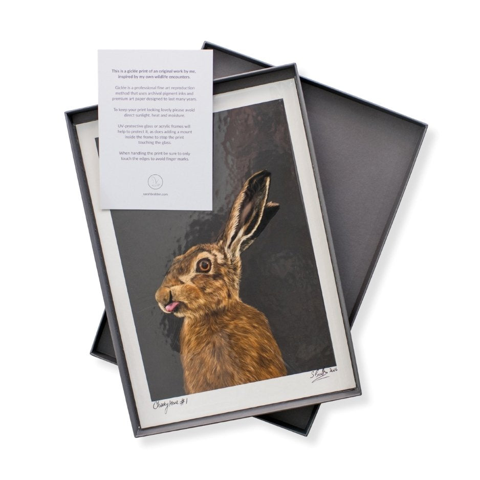 An A4 signed and numbered print of a hare in a luxury grey box with a care card