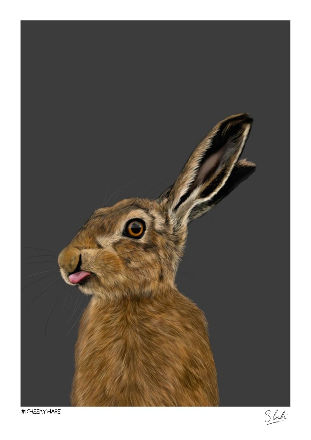 A drawing of a brown hare, set against a solid dark gray background with a white border. The print features a signature in the bottom right corner