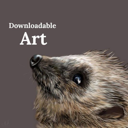 Hedgehog - Downloadable Art - sarahbrabbin