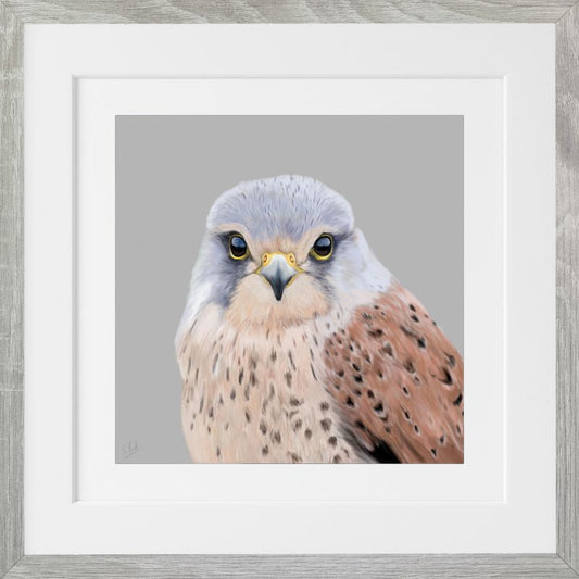Kestrel - Downloadable Art