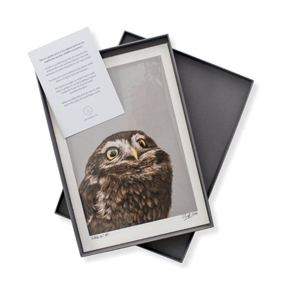 An A4 signed and numbered print of a Little Owl in a luxury grey box with a care card