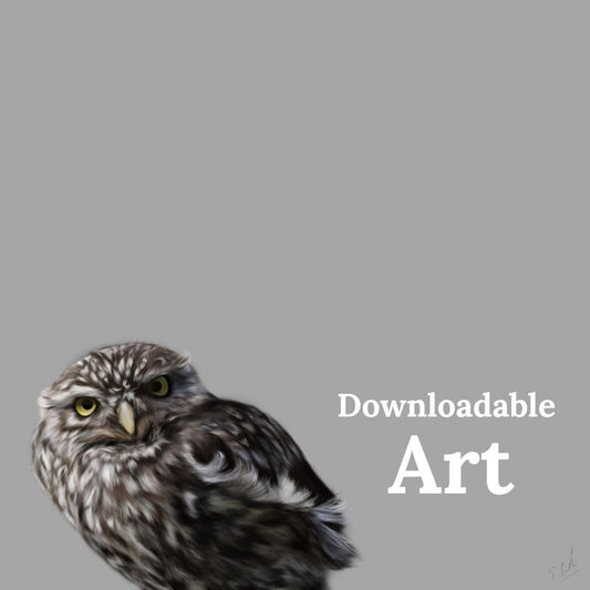 Little Owl - Downloadable Art - sarahbrabbin