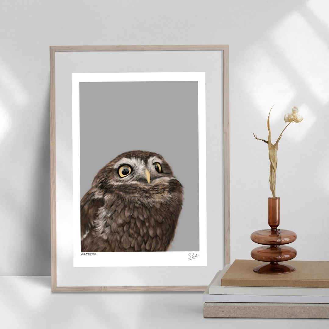 A framed print of a Little Owl on a desktop with books and a candlestick