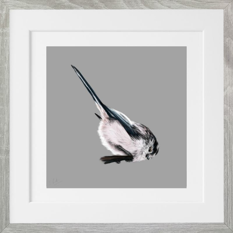 Long Tailed Tit - Downloadable Art