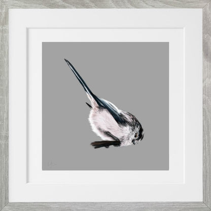 Long Tailed Tit - Downloadable Art