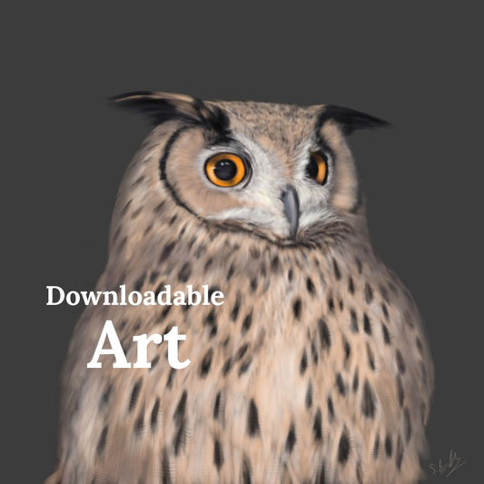 Long Eared Owl - Downloadable Art - sarahbrabbin