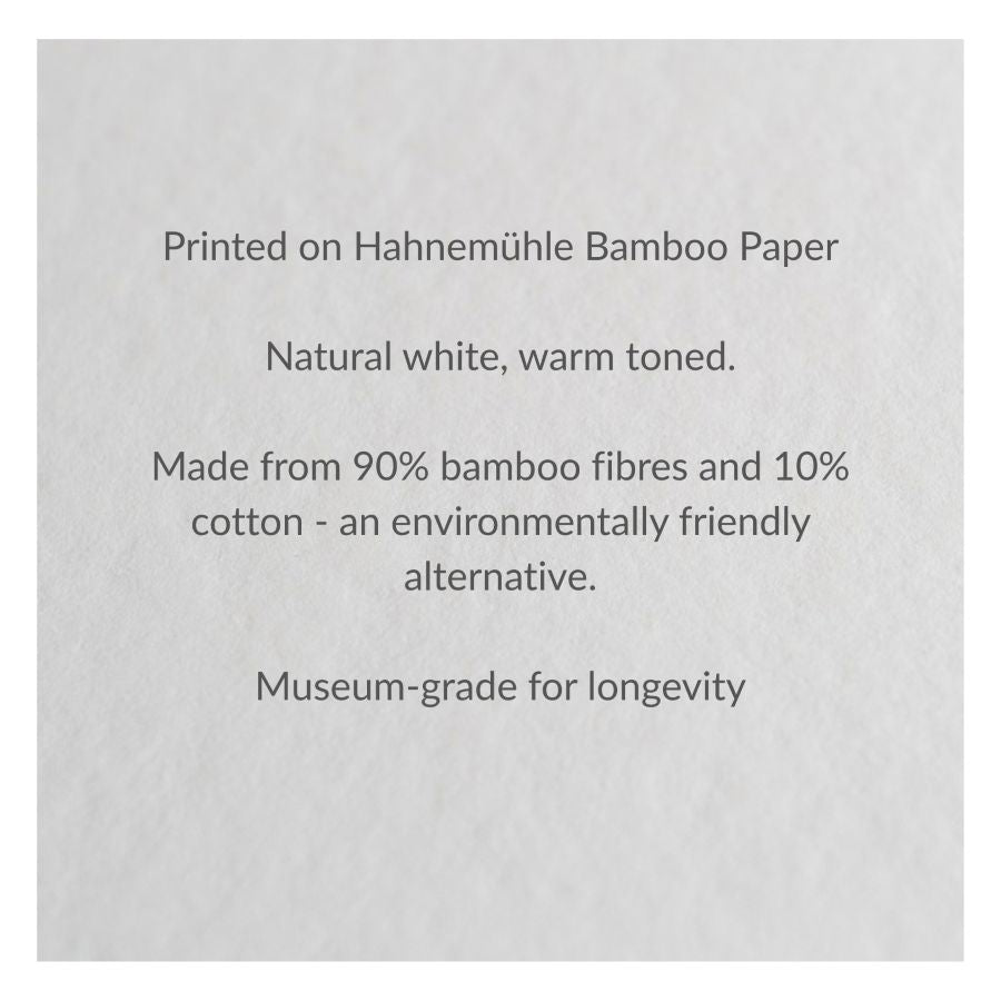 Text on a light grey textured background stating: 'Printed on Hahnemühl Bamboo Paper', 'Natural white, warm toned.', 'Made from 90% bamboo fibres and 10% cotton - an environmentally friendly alternative.