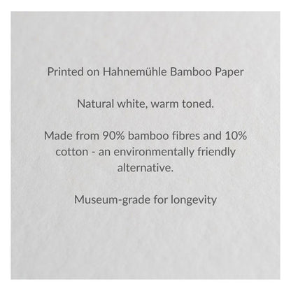 Text on a light grey textured background stating: 'Printed on Hahnemühl Bamboo Paper', 'Natural white, warm toned.', 'Made from 90% bamboo fibres and 10% cotton - an environmentally friendly alternative.