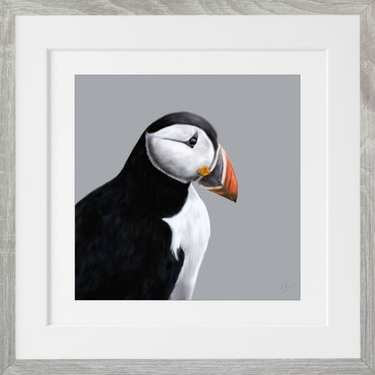 Puffin - Downloadable Art