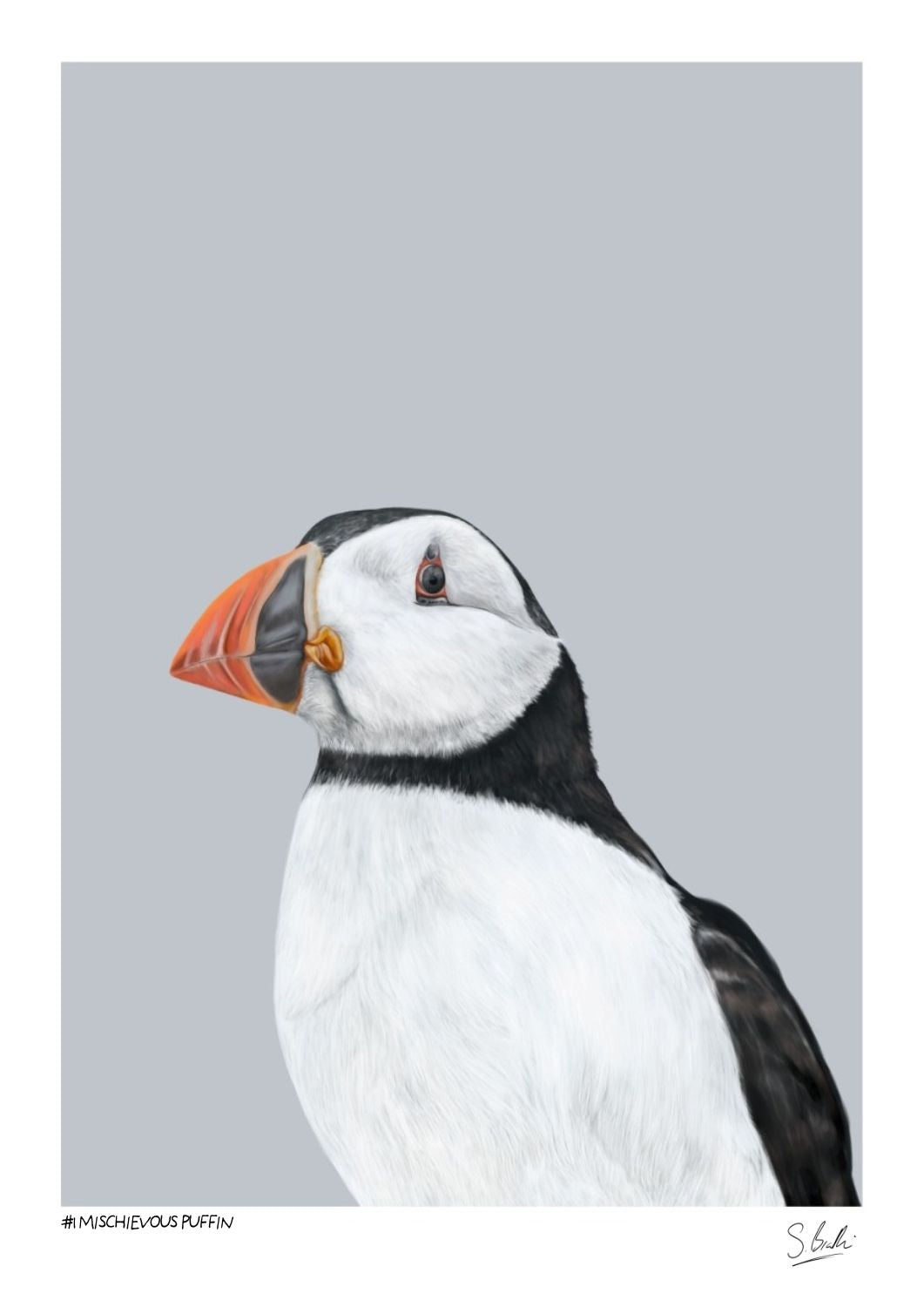 A detailed artwork of a Puffin