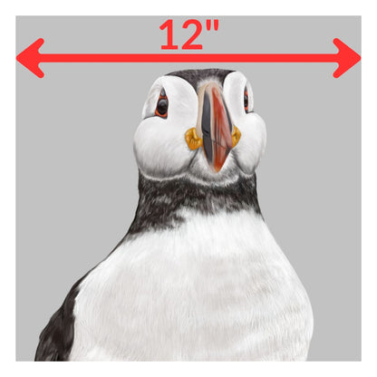 A close-up illustration of a puffin on a light gray background with a red dimension arrow across the top labeled 12 inches.