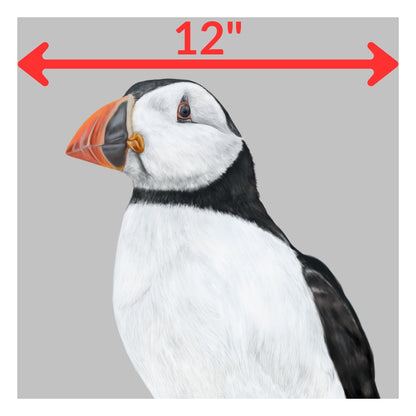 Innocent as a Puffin - Limited Edition Wildlife Art
