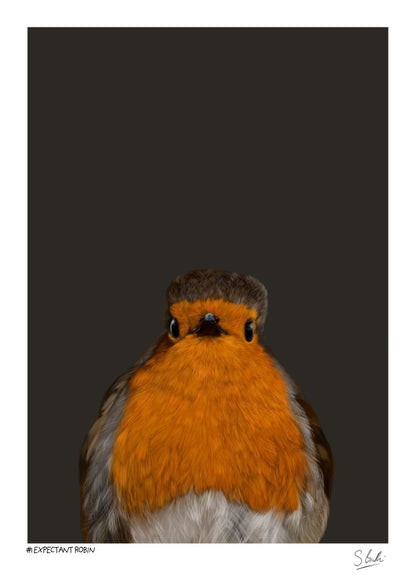 A close-up portrait of a robin bird centered on a dark charcoal background, presented within a white border. The bird has a bright orange-red chest, brown head and back, and a white underbelly.