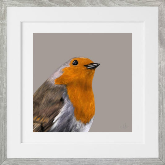 Robin - Downloadable Art