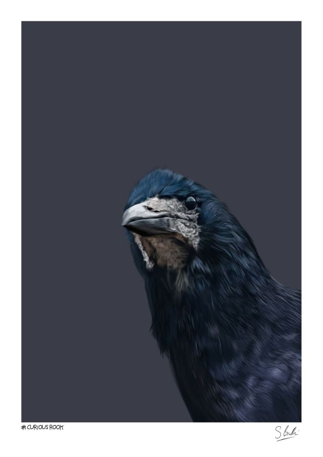 An art print of a Raven, featuring highly detailed dark blue and black feathers against a solid dark gray background, with a white border and artist signatures at the bottom.