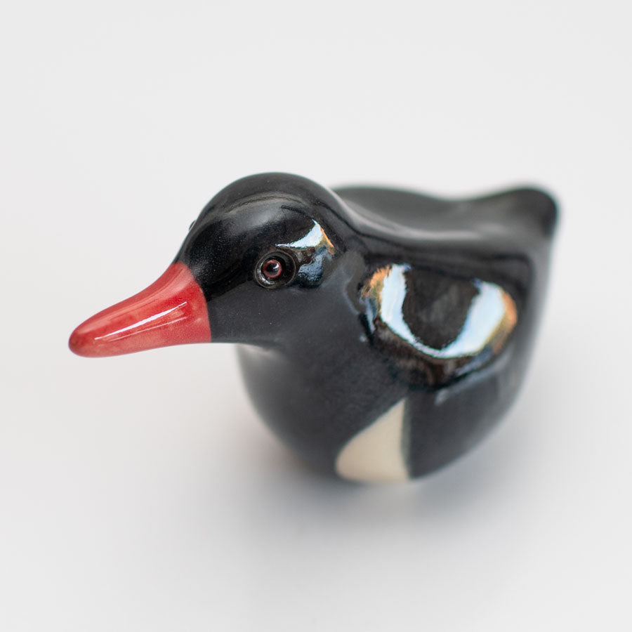 Small ceramic Oystercatcher Sculpture  against a white background