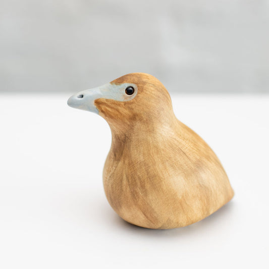Ceramic Eider Duck