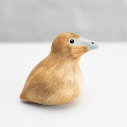 Ceramic Eider Duck