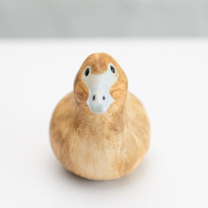 Ceramic Eider Duck