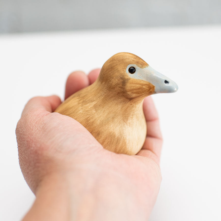 Ceramic Eider Duck