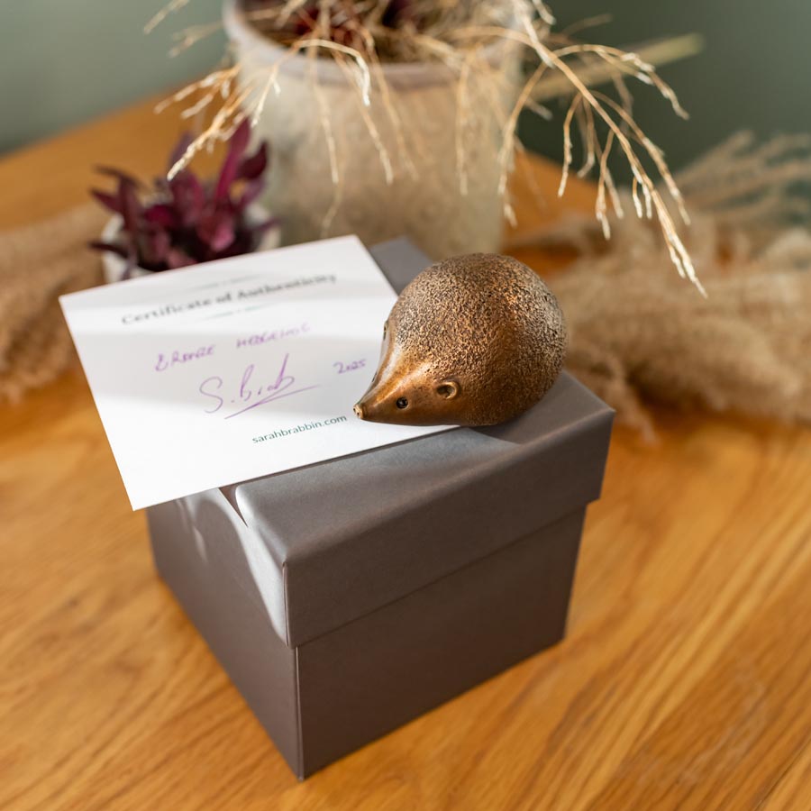 Small hedgehog on a gray box with a certificate of authenticity on a wooden surface
