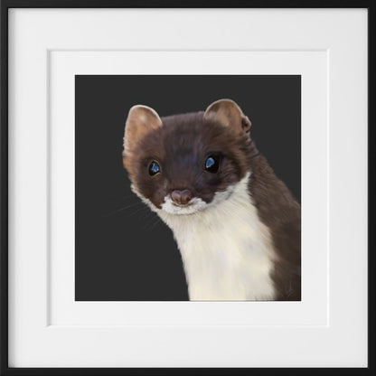 Stoat - Downloadable Art