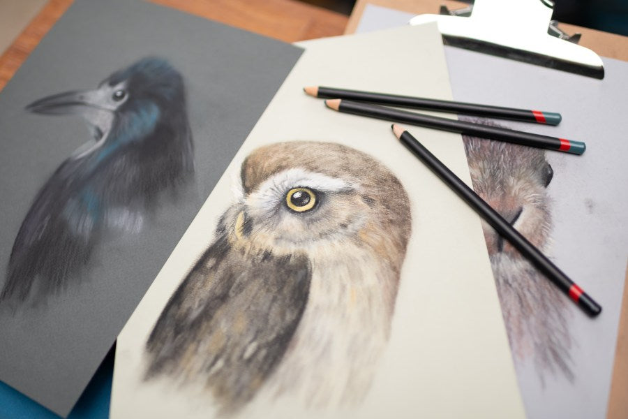 Original Wildlife Art - Charcoal Long Tailed Tit