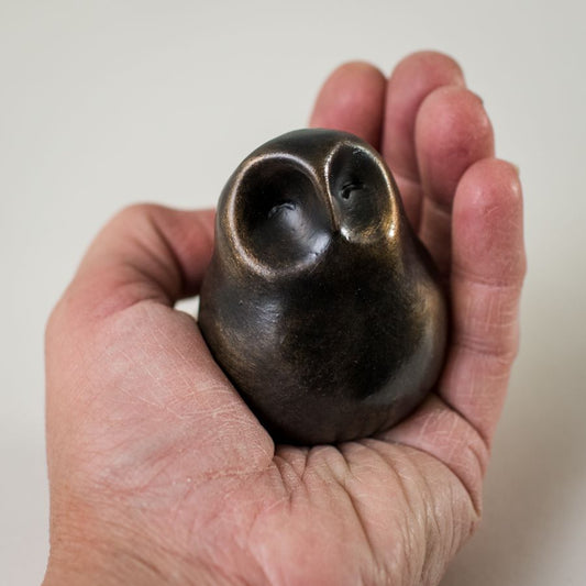 Bronze black owl statue - sarahbrabbin