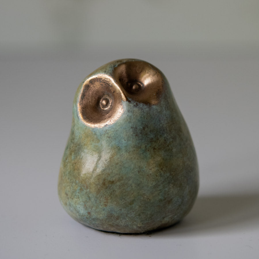 Foundry cast bronze little owl - sarahbrabbin