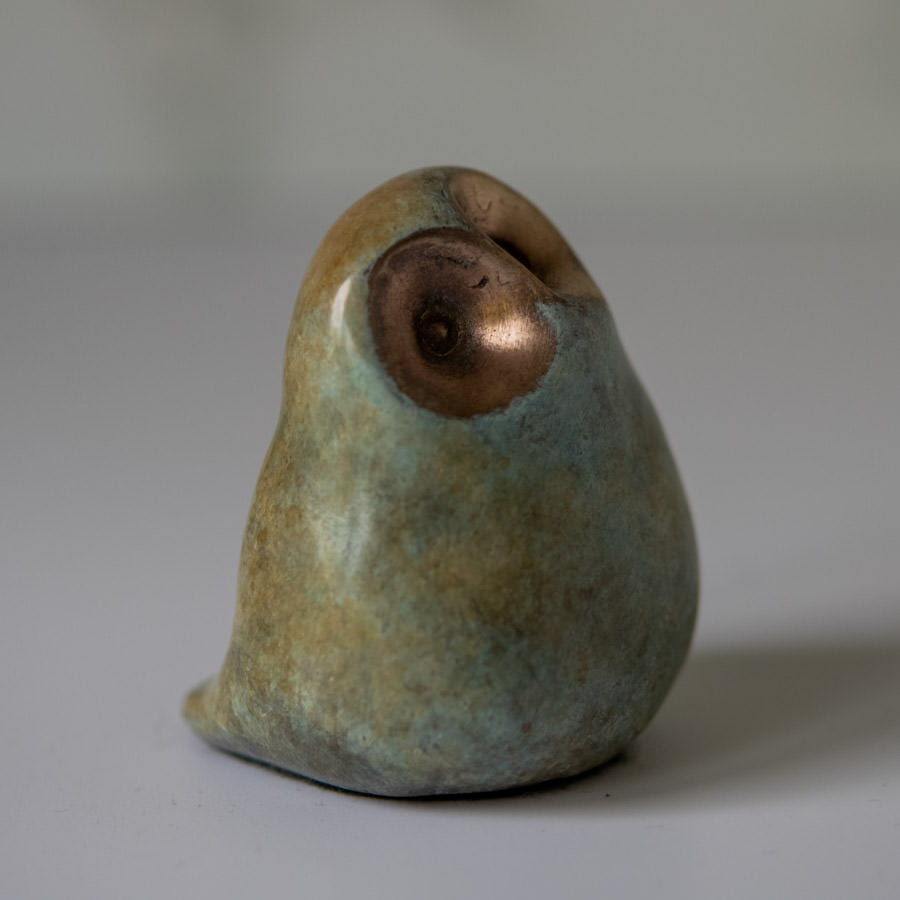 Foundry cast bronze little owl - sarahbrabbin