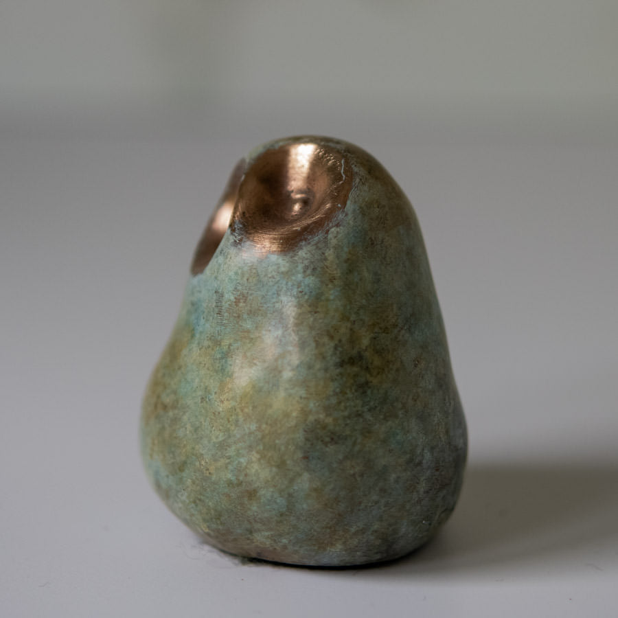 Foundry cast bronze little owl - sarahbrabbin